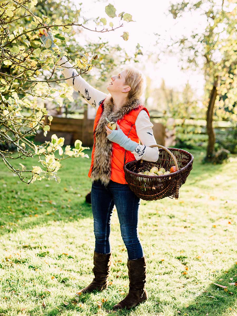 Clare Mackintosh picking apples in North Wales