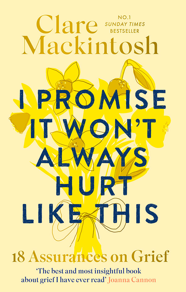 UK Cover of I Promise It Won't Always Hurt Like This by Clare Mackintosh
